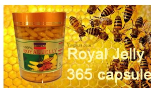 นมผึ้ง Royal jelly รอยัล เยลลี่ โคลสตาร์ 365 cap 
