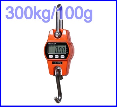 ͧẺǹ 300kg ´ 100g  Anex-Ҫ觴ԨԵ ͧ觴ԨԵ ͧẺǹ 300kg ´ 100g  Anex